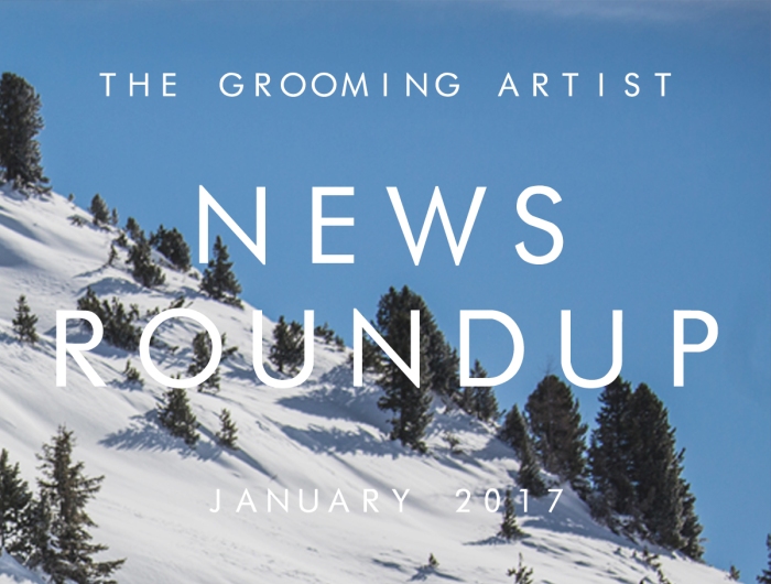 news-roundup-jan-2017